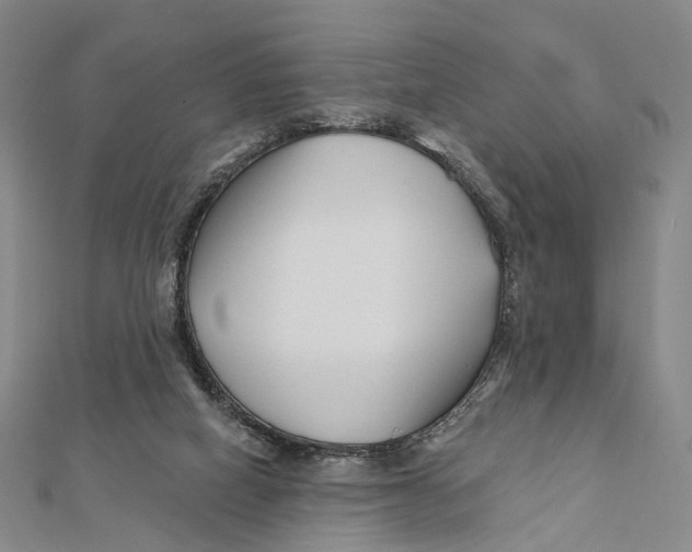 X0000112060066200909011011