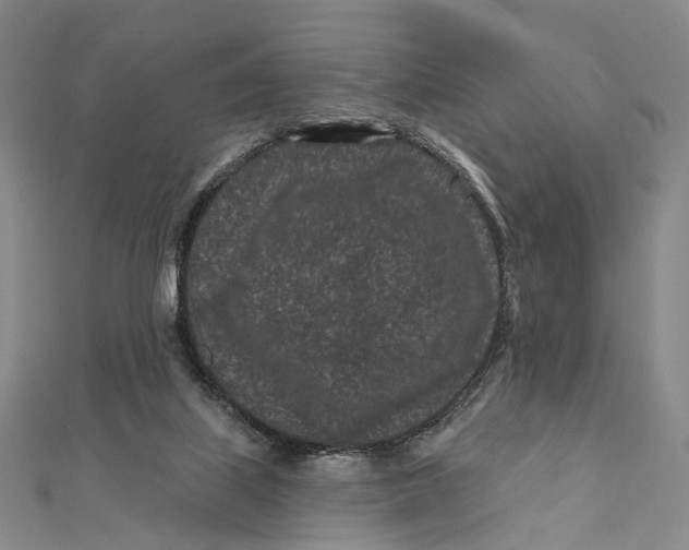 X0000112060067200909011011