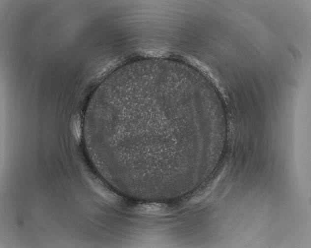 X0000112060069200909011011