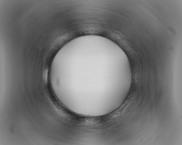 X0000112060070200909011011