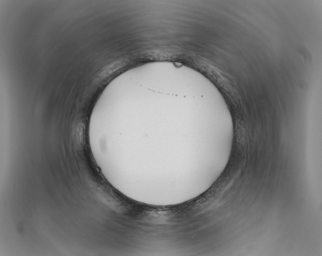 X0000112060071200909011011