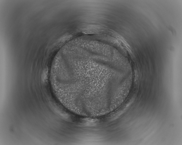 X0000112060073200909011011
