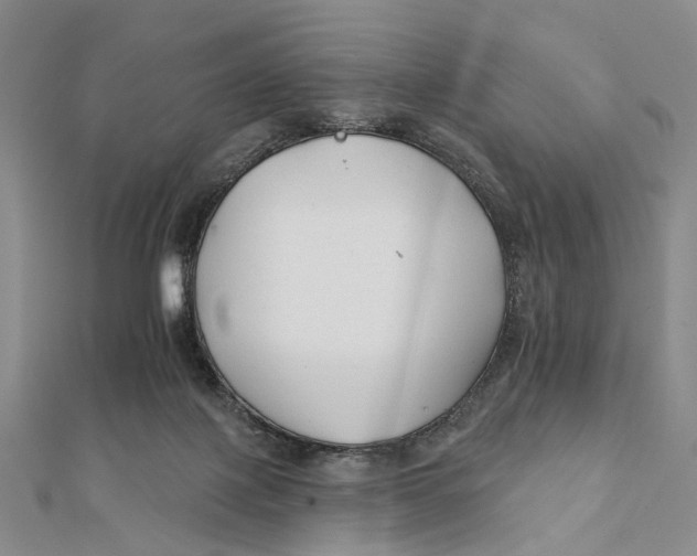 X0000112060075200909011011
