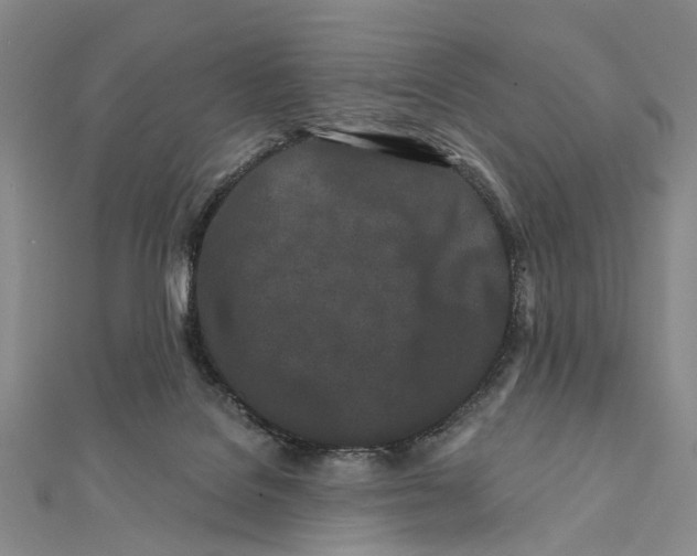 X0000112060076200909011011
