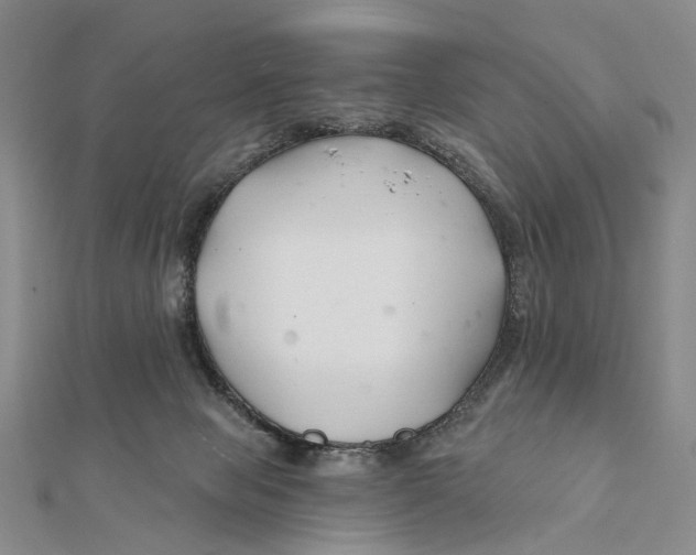 X0000112060077200909011011