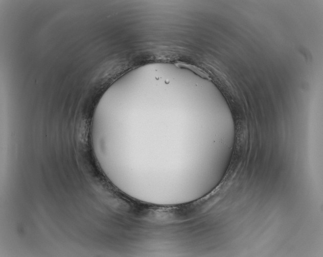 X0000112060078200909011011
