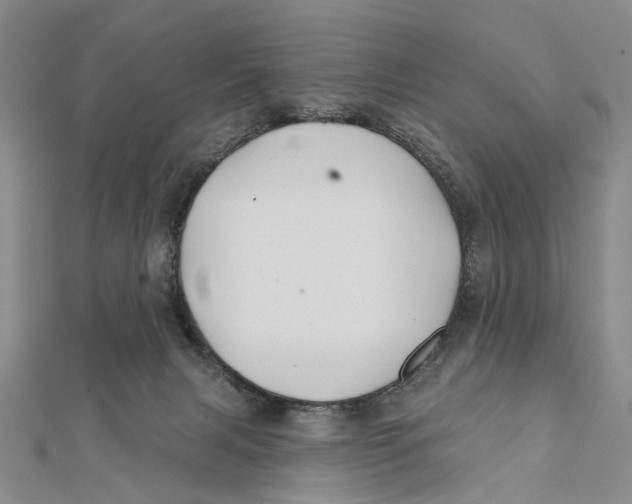 X0000112060079200909011011