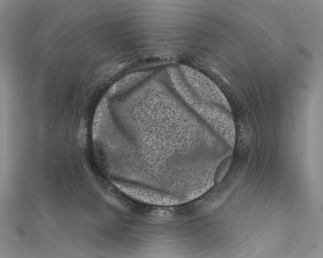 X0000112060080200909011011