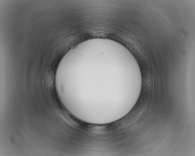 X0000112060081200909011011