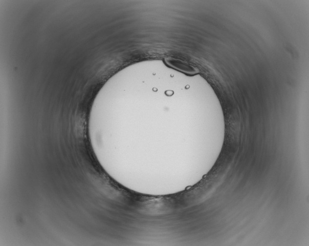 X0000112060083200909011011