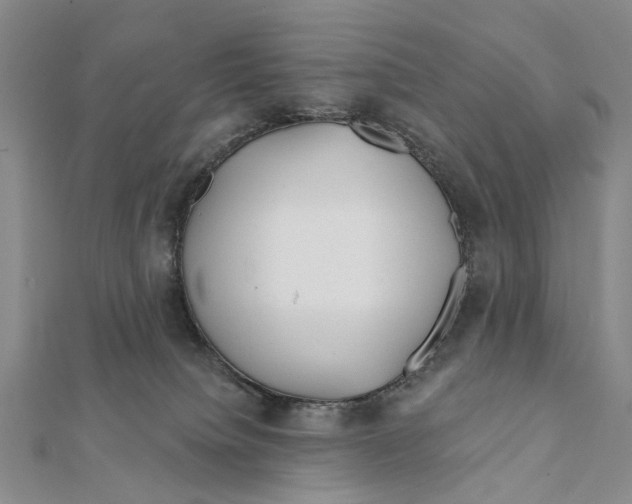 X0000112060084200909011011