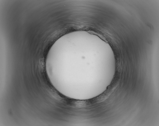 X0000112060085200909011011