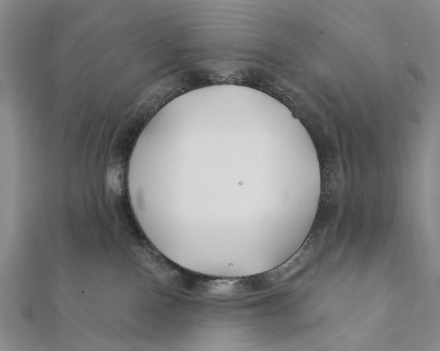 X0000112060090200909011011