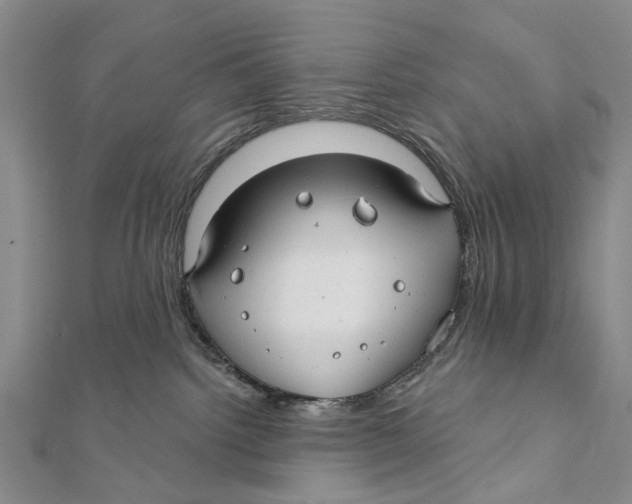 X0000112060092200909011011