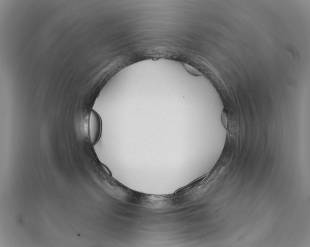 X0000112060095200909011011