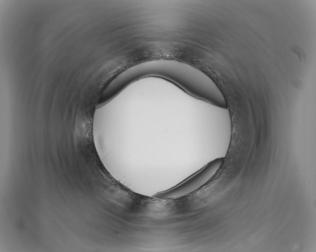 X0000112060096200909011011