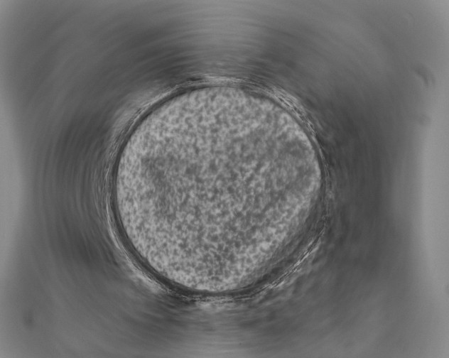 X0000112060097200909011010