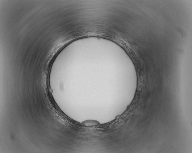 X0000112060098200909011010