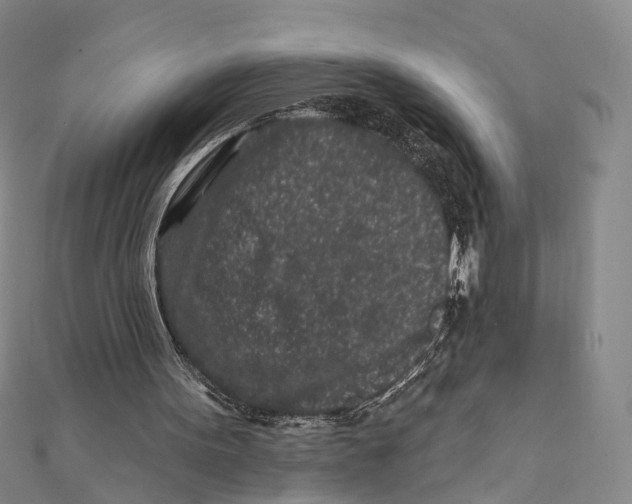 X0000112060099200909011010