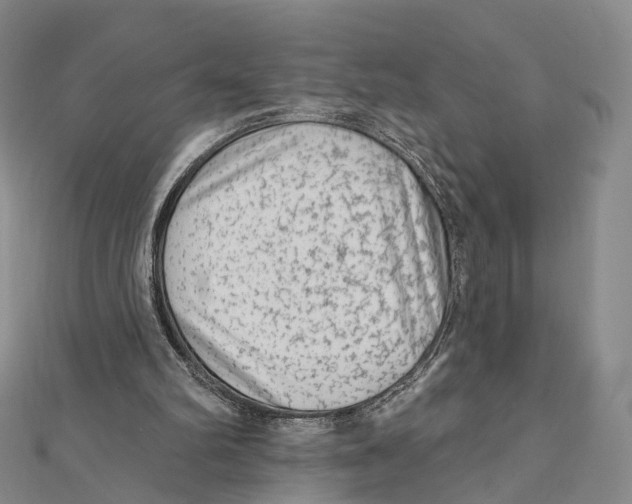 X0000112060102200909011010