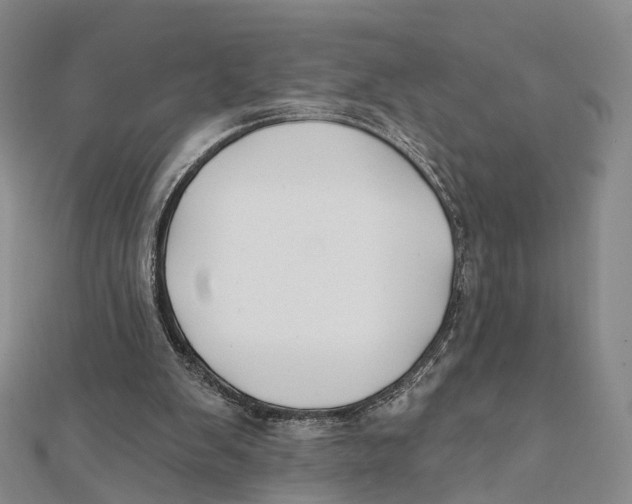 X0000112060103200909011010