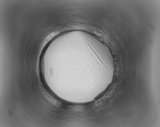 X0000112060104200909011010