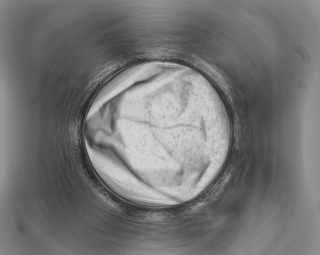 X0000112060105200909011010