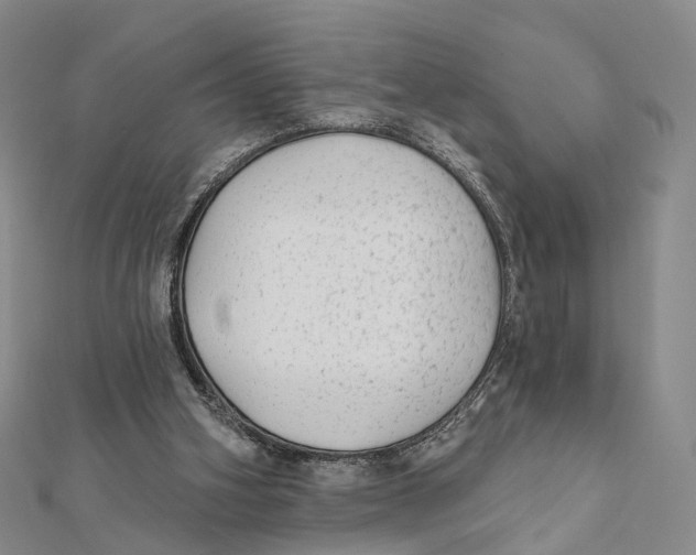 X0000112060106200909011010