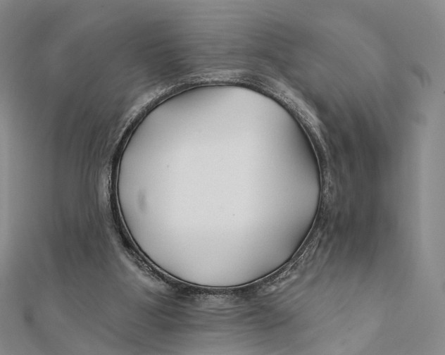 X0000112060107200909011010