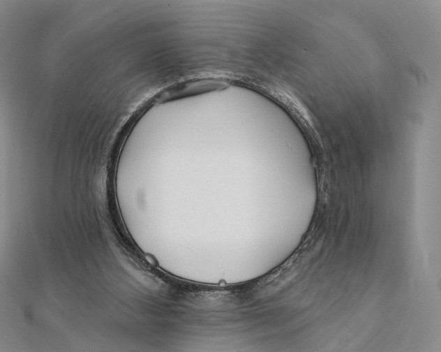 X0000112060108200909011010