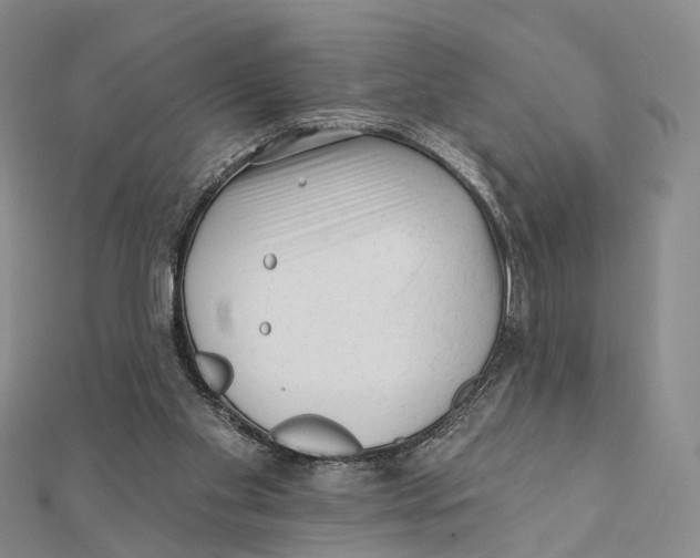 X0000112060109200909011010