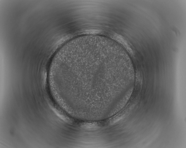 X0000112060110200909011010