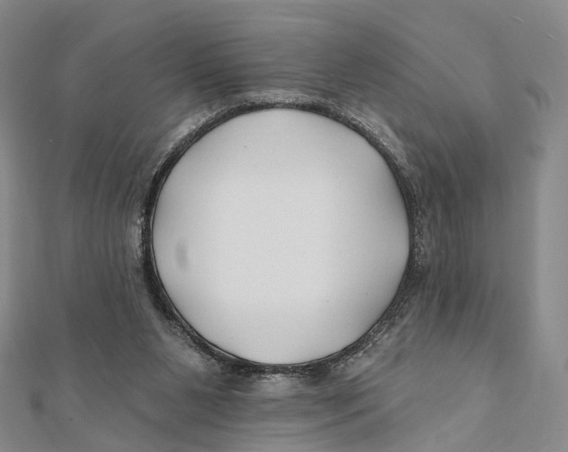 X0000112060111200909011010