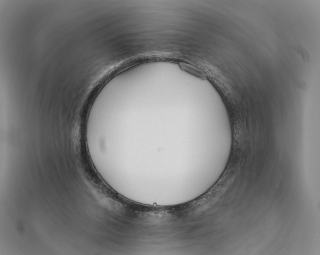 X0000112060112200909011010