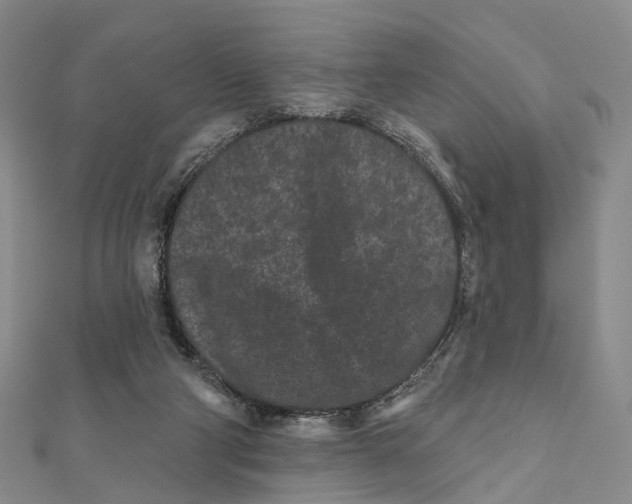 X0000112060114200909011010