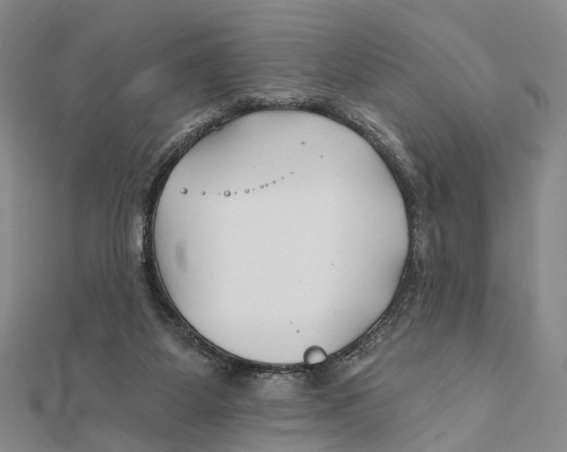 X0000112060115200909011010