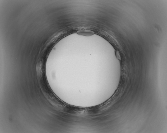 X0000112060116200909011010