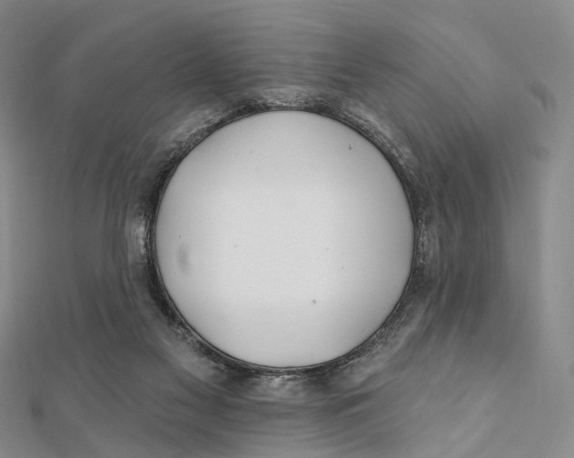 X0000112060117200909011010