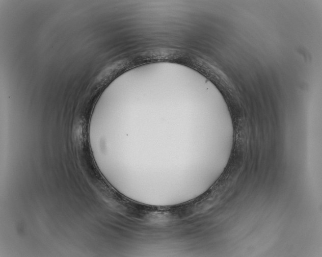 X0000112060119200909011010