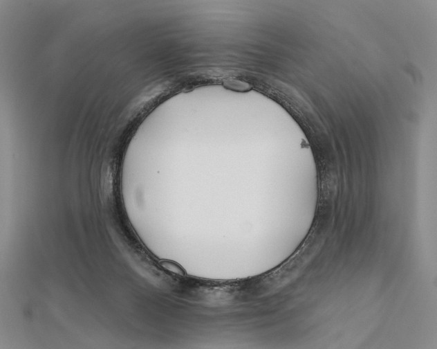 X0000112060120200909011010