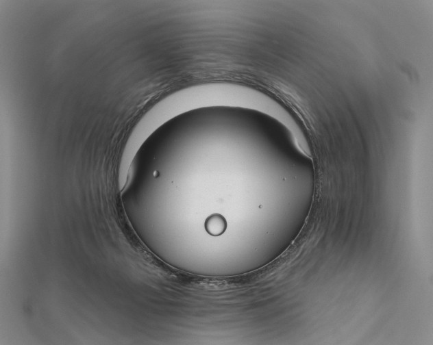 X0000112060121200909011010