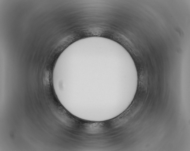 X0000112060122200909011010