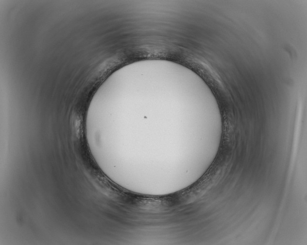 X0000112060123200909011010