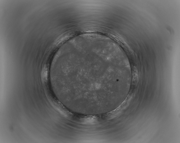 X0000112060124200909011010
