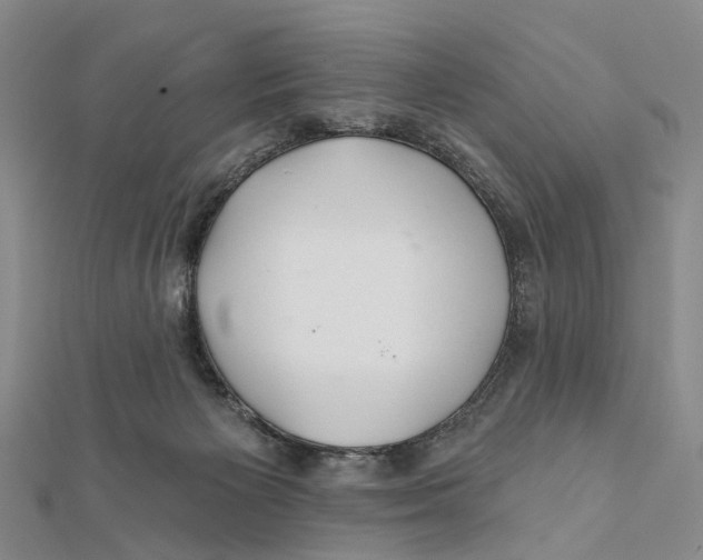 X0000112060125200909011010