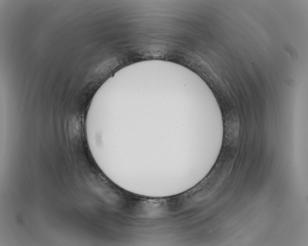 X0000112060126200909011010