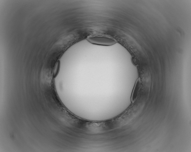 X0000112060129200909011010