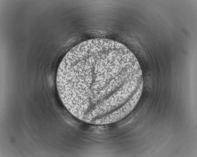 X0000112060131200909011010