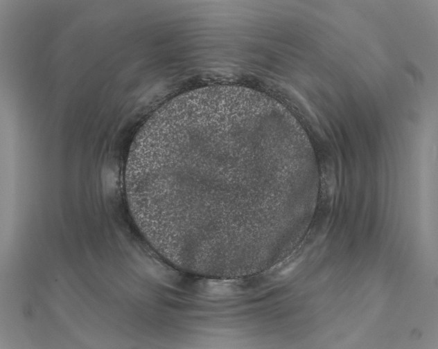 X0000112060134200909011010