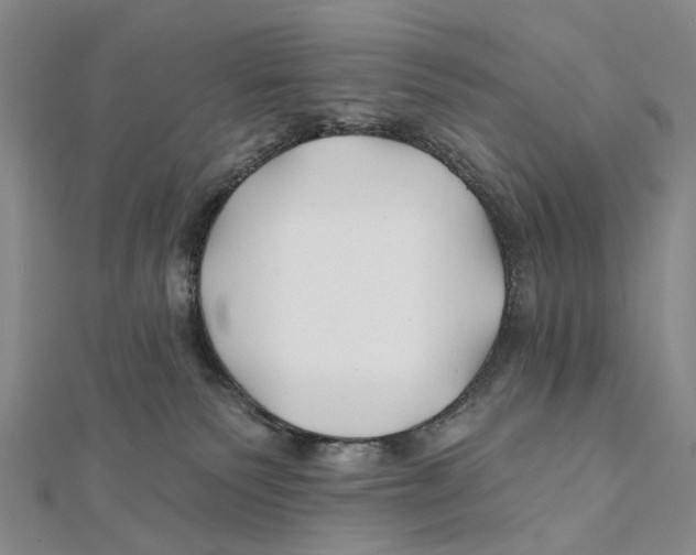 X0000112060135200909011010